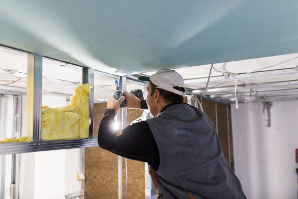 Best Fiberglass Insulation in Youngsville, LA