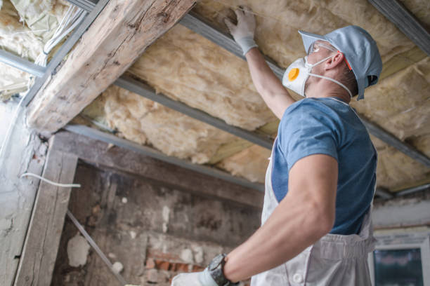 Types of Insulation We Offer in Youngsville, LA