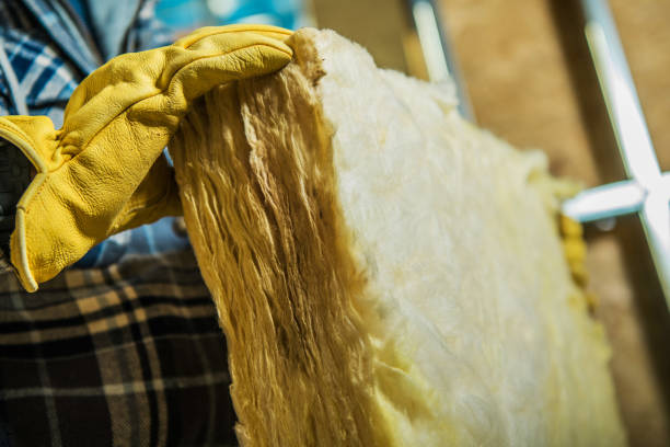 Best DIY Insulation Kits and Guidance in Youngsville, LA
