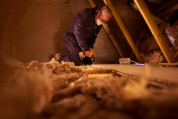 Best Spray Foam Insulation in Youngsville, LA